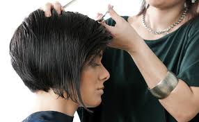 corte profecional